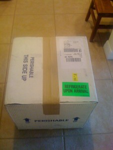 THE box