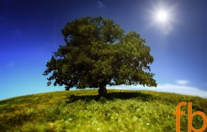 season-summer
